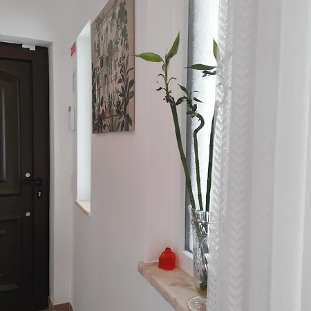 Welkome Sweet - Malheiro 波尔蒂芒